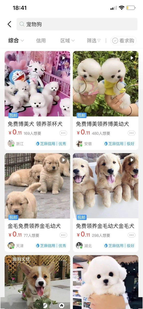 闲鱼怎么买到靠谱宠物狗