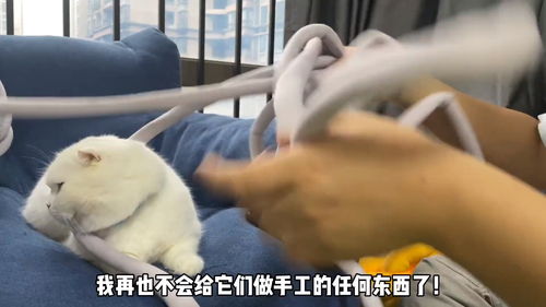 怎么做高级的宠物猫窝教程