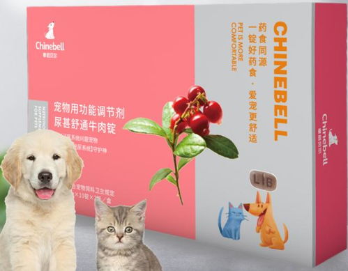 宠物狗的肾结石怎么治疗