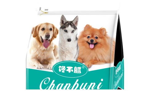 宠物狗粮馋不腻怎么办呢