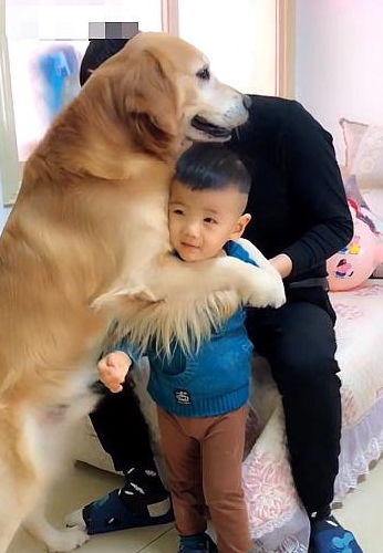 宠物狗碰到主人怎么办呢