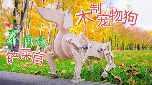 自制宠物狗糖果怎么做的