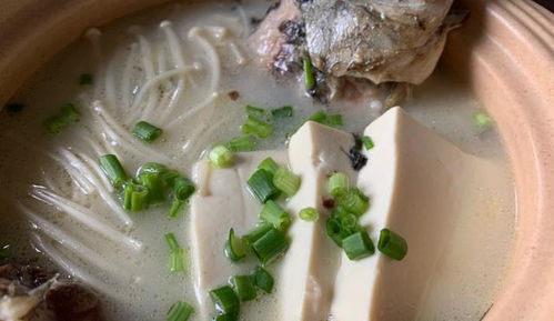 宠物狗营养肉汤怎么做的