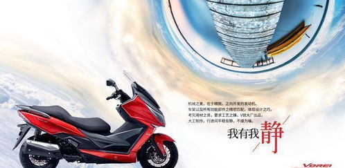 踏板车放宠物狗怎么放舒适