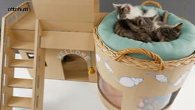 宠物猫别墅怎么安装