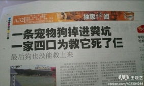 宠物狗掉粪坑怎么办啊
