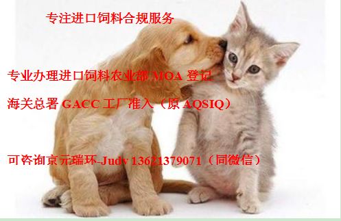 宠物狗怎么进食品店的呢