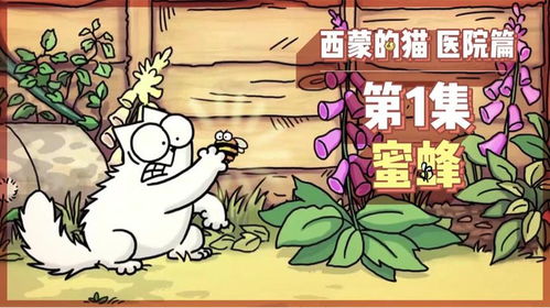 宠物猫被蜜蜂蜇了怎么办