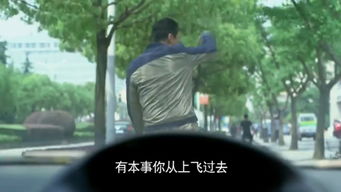 骑车遇到宠物狗怎么办呢