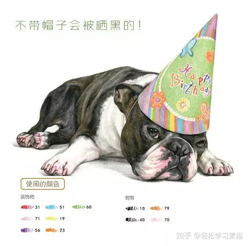 纸壳子怎么做宠物狗教程