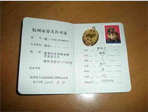 怎么样给宠物狗上户口