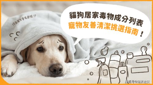 宠物猫狗怎么处理