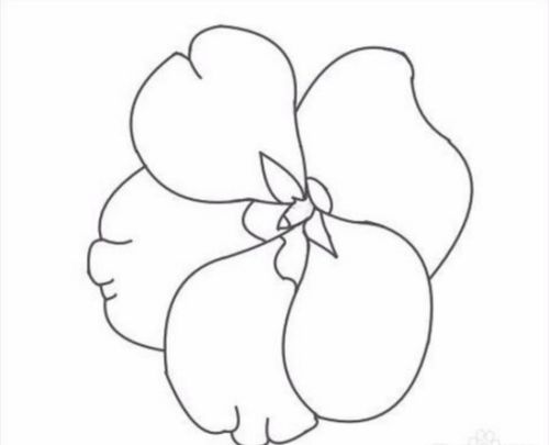 宠物猫花花怎么画好看
