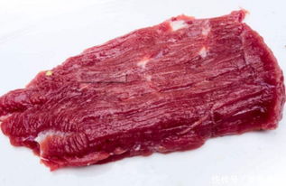 宠物狗饭怎么做有营养