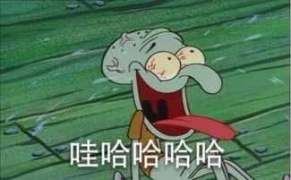 在闲鱼上怎么去卖宠物狗