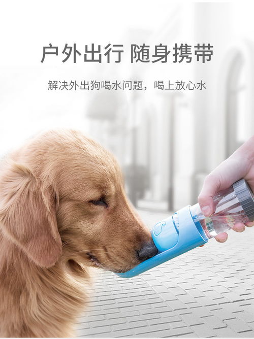 宠物狗饮水器怎么用的