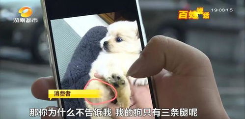 修车店卖宠物狗怎么样啊