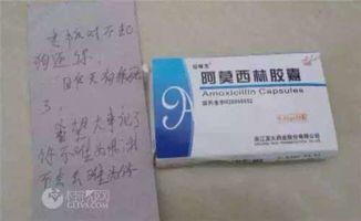 万元宠物狗被偷了怎么办