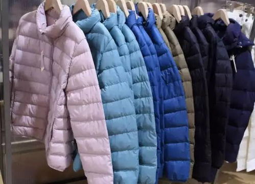 羽绒服宠物狗怎么洗的好