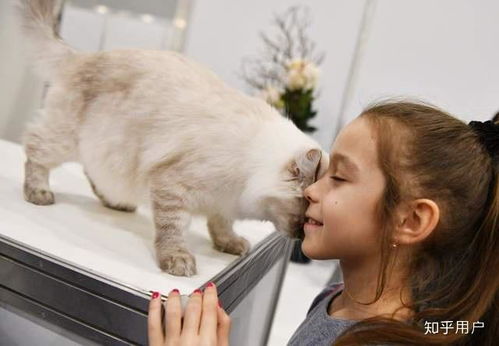宠物猫怎么体质不好