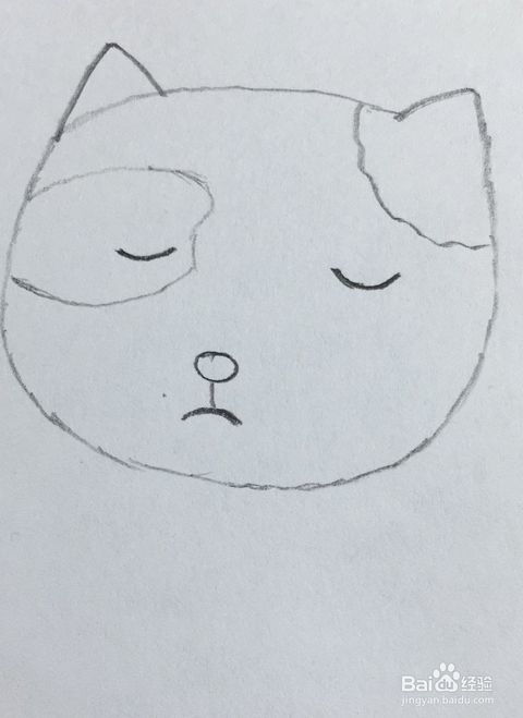 怎么才能画出宠物猫