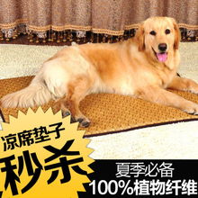 宠物狗会咬凉席怎么办