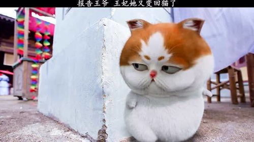 怎么自己做一只宠物猫笼