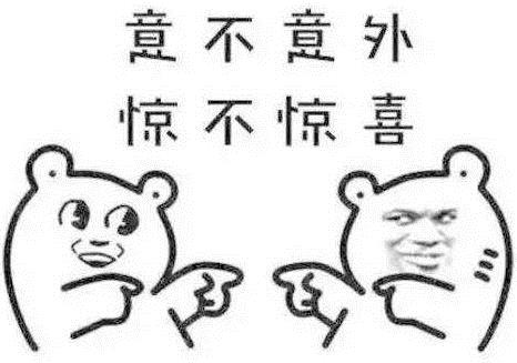 警察看到宠物狗怎么办