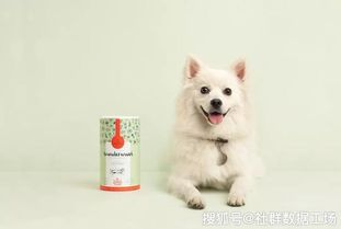 怎么用手机卖宠物狗粮呢