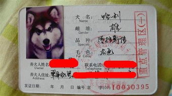东莞市宠物狗怎么办狗证