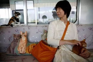 火车怎么运宠物猫