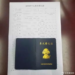 宠物狗怎么办理养犬证