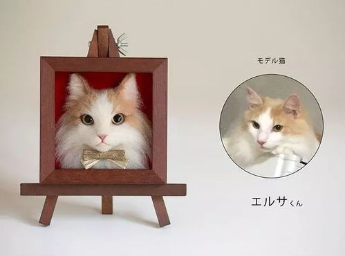 羊毛毡做宠物猫怎么做