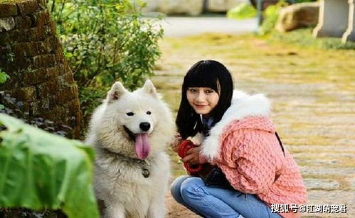 女孩子要怎么养宠物狗呢