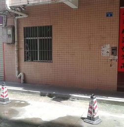 宠物狗高空坠落怎么办啊