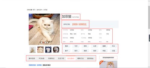 怎么获取宠物猫数据