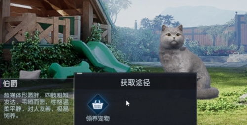 黎明觉醒宠物猫怎么领出