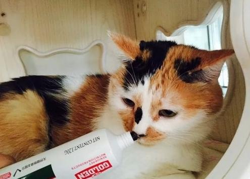 小猫化毛膏吃多少