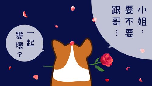 宠物狗口臭牙黄怎么办啊