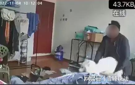 侵犯租客宠物狗怎么办呢