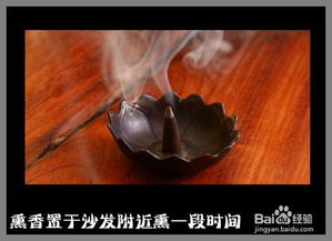 怎么去除异味宠物狗的味道