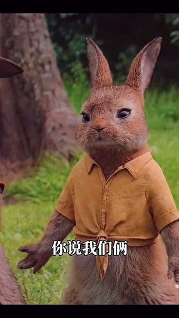 怎么称呼宠物狗比较好呢