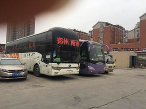 怎么去汽车站托运宠物狗呢