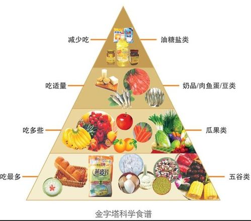 宠物狗吃的配餐食物怎么做