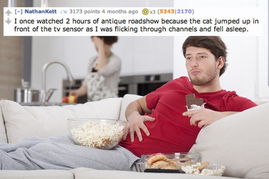 宠物猫的饭盆怎么清洗