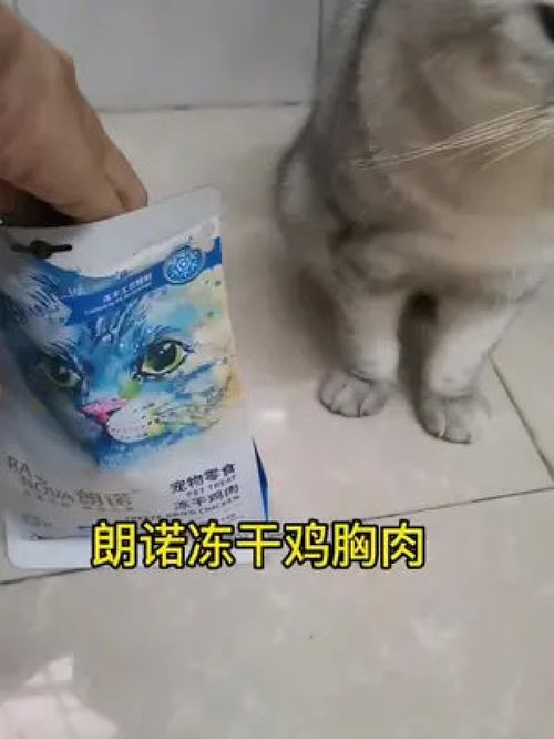 宠物狗冻干肉怎么吃的好
