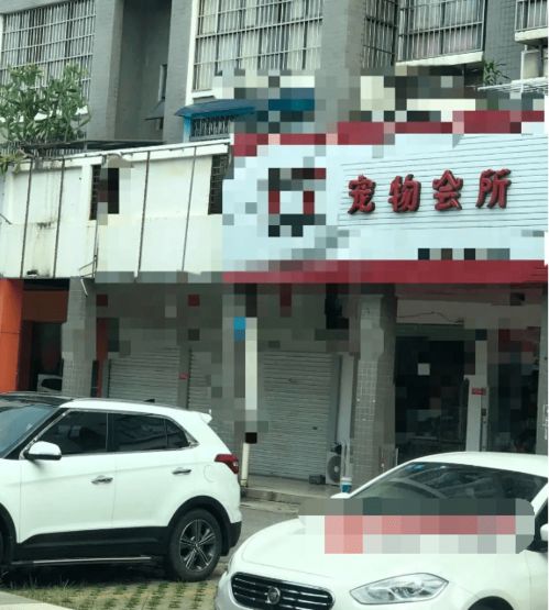 宠物狗出车祸死了怎么办