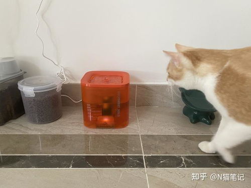 宠物狗饮水器怎么选择好