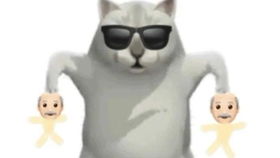 怎么挑逗宠物猫