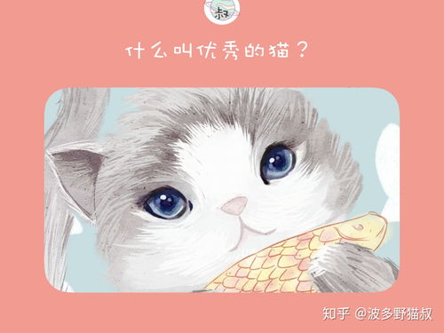 宠物猫条怎么选购的